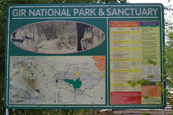 Information of Gir Forest National Park and Wildlife Sanctuary in Junagadh Gujarat India