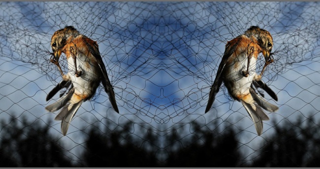 Safety Net Company at Rakhial Ahmedabad