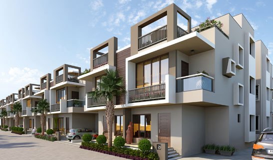 Shree Rang Pineapple Ahmedabad