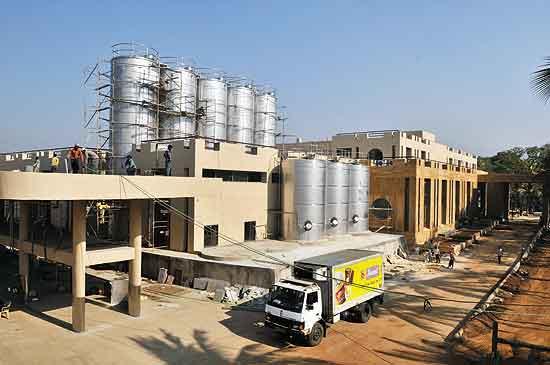AMUL DAIRY ANAND Gujarat Products List Address Contact Number
