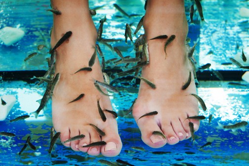 Heaven Wellness Center in Rajkot – Doctor Fish Spa Center in Rajkot